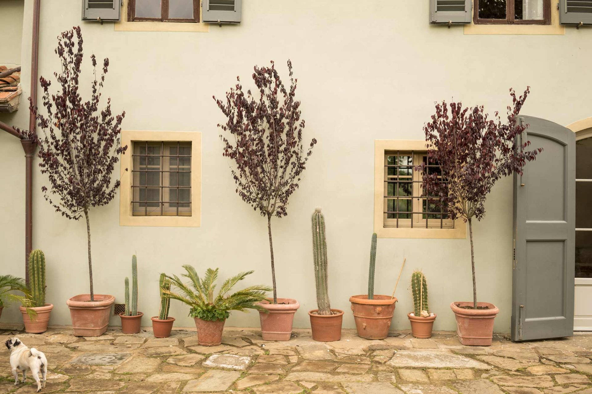 Borgo Santo Pietro Saporium Firenze